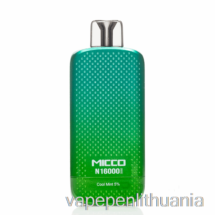 Horizontalech Micco N16000 Vienkartinis šaltas Mėtų Vape Skystis